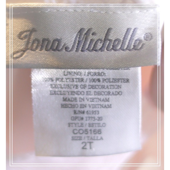 Jona Michelle Pink Floral Tulle Ruffle Dress Girls Size 2T Special Occasion - Picture 2 of 15